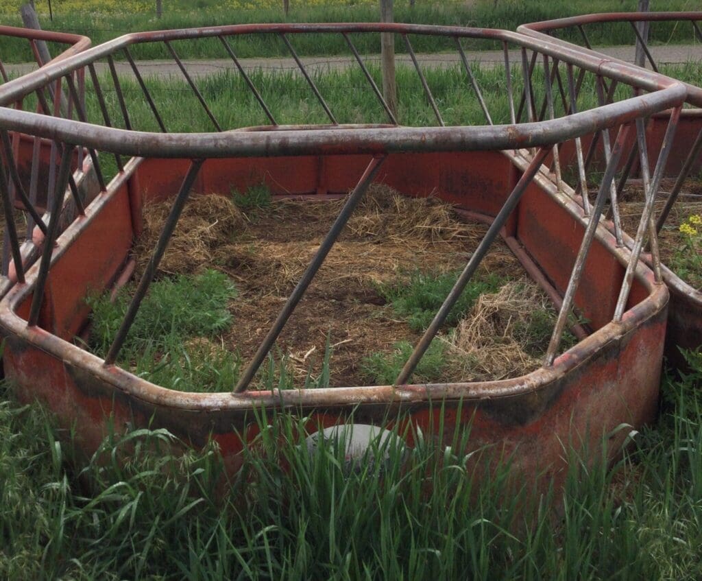 Kevin Hill AuctionIMG_5060 - Montana Auctions by Kevin Hill